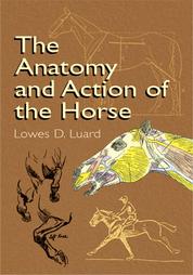 The Anatomy and Action of the Horse by Lowes Dalbiac Luard (2003, Paperback)