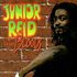 Junior Reid & The Bloods by Junior Reid (CD, Jun-2003, RAS Records)