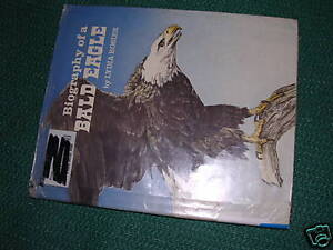 Biography of a Bald Eagle. Lydia Rosier