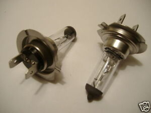 Nissan headlight bulbs #10