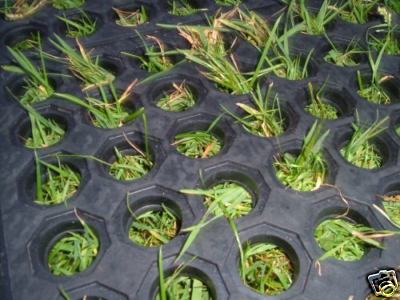 LAWN-SAFETY-GARDEN-Tree-House-play-mat-Swings-Slides-Trampolines-Climbing-Frames