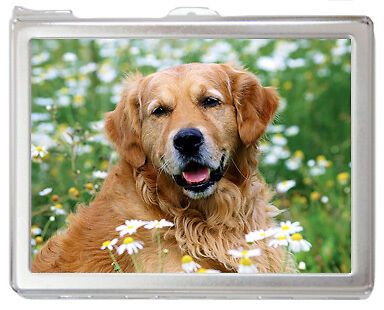 Golden Retriever dog #880 Card Holder Case with Lighter  