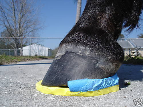 Horse Therapeutic Hoof Pads Founder Pad  