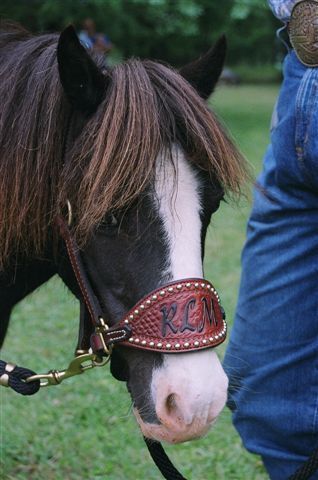 Design Your Own Tooled Bronc Halter Cowhidebronchalter  