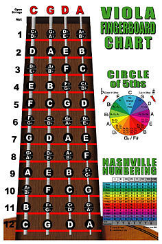 Viola Fingerboard Notes Instructional Poster Chart  