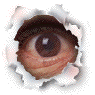 neugierli