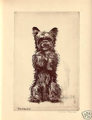 Diana Thorne Dog Bookplate Print Pistache 1935 Book