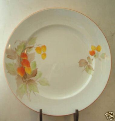 Art Deco SHELLEY Cape Gooseberry 9 Plate 12299  