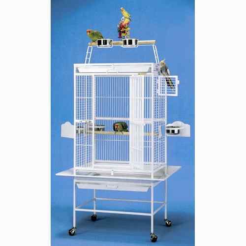 KINGS CAGES 2620PP PARROT CAGE 26x20x66 bird cages  